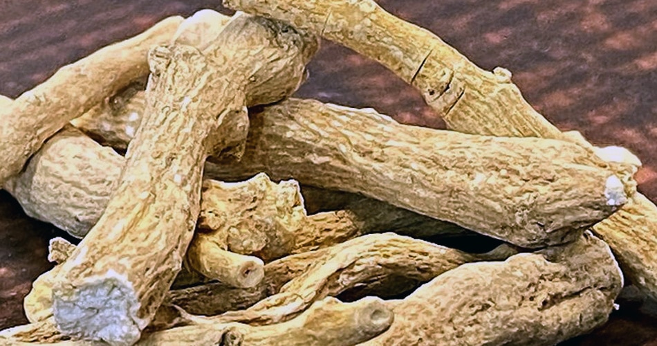 अश्वगंधा