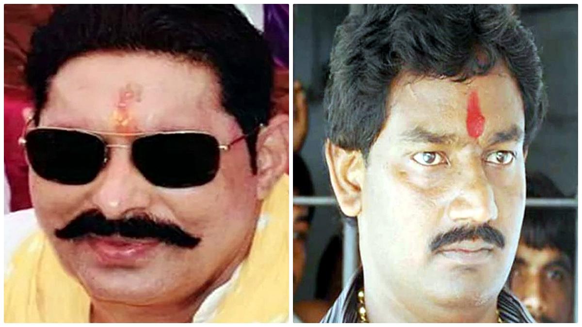 Which Bahubali won and Lost Bihar election 2020