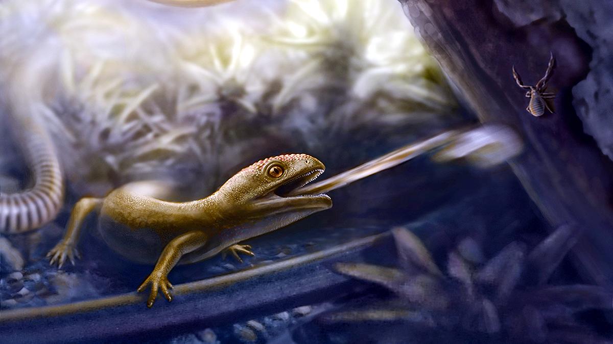 ancient amphibian Yaksha perettii with ballistic tongue
