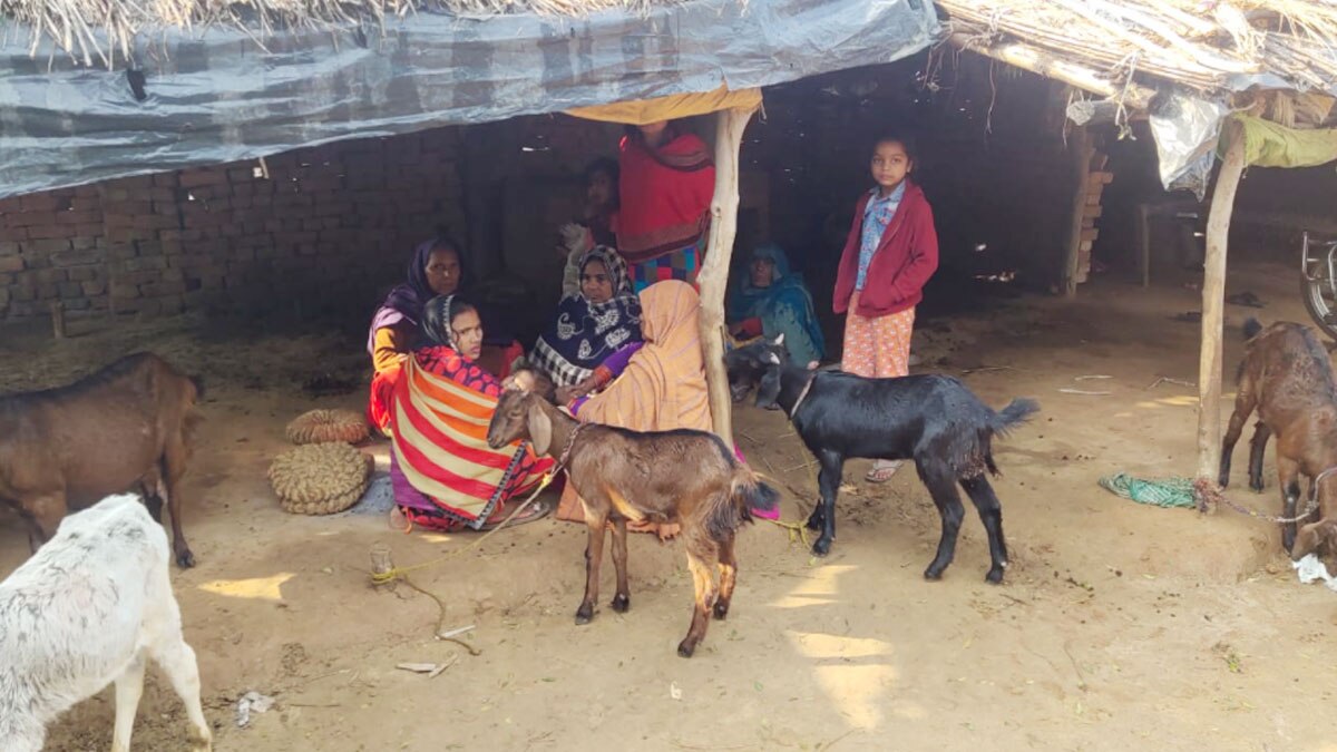  हरदोई में बदमाशों ने घर में बोला धावा, मारपीट कर की लूटपाट (फोटो आजतक)