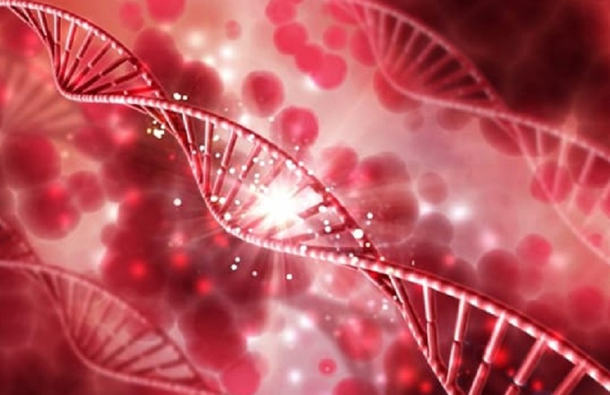 स्ट्रोक