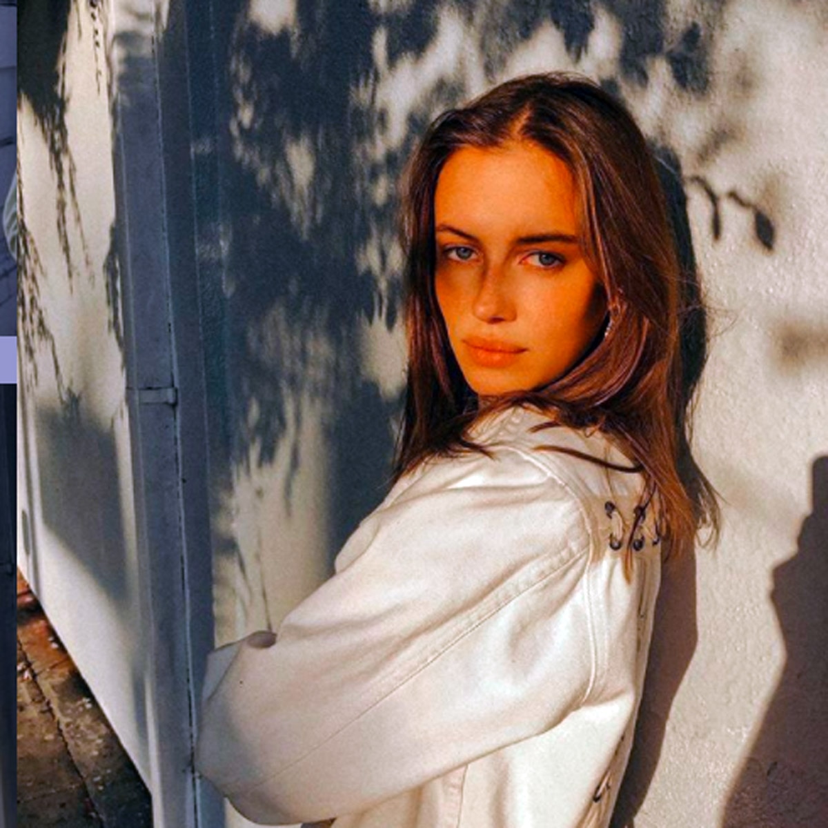 जर्मन मॉडल निकोल