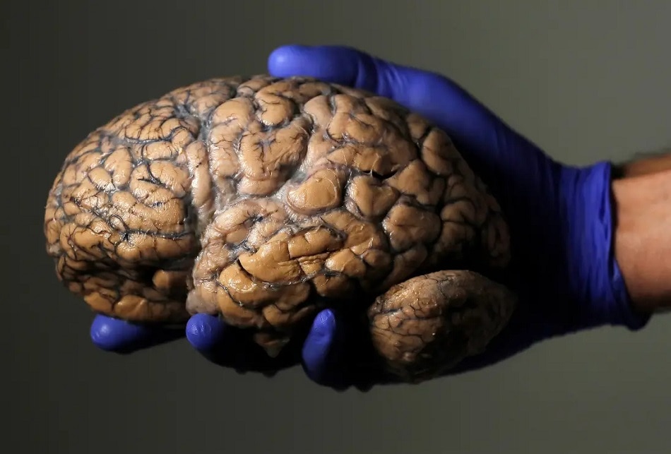 और भी हैं फायदे