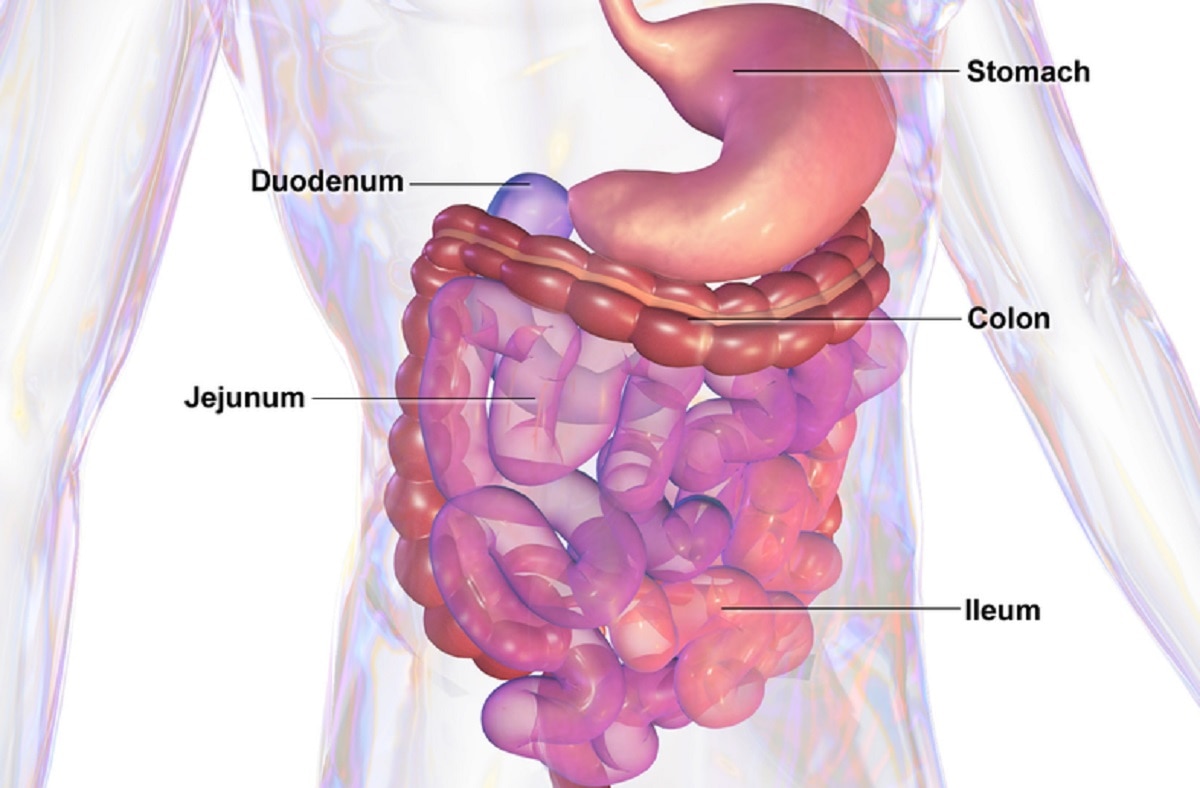 मल में खून