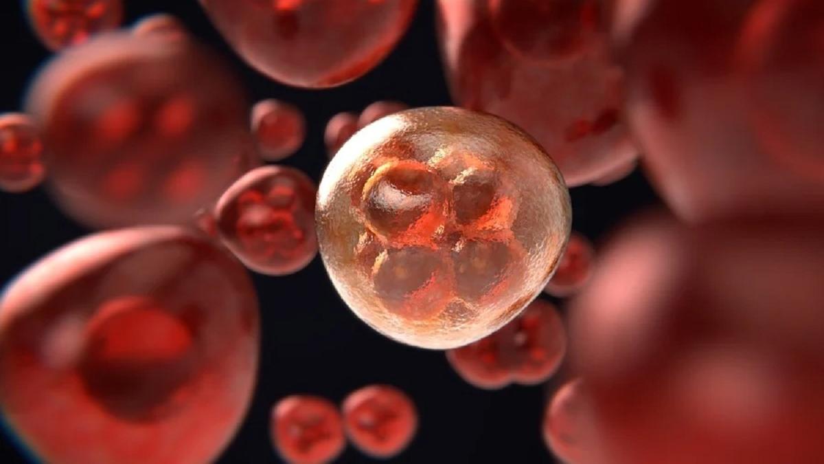 National Cancer Awareness Day 2020: कहां से आया कैंसर, क्यों पड़ा ये नाम? जानें बीमारी से जुड़ी 9 अहम बातें