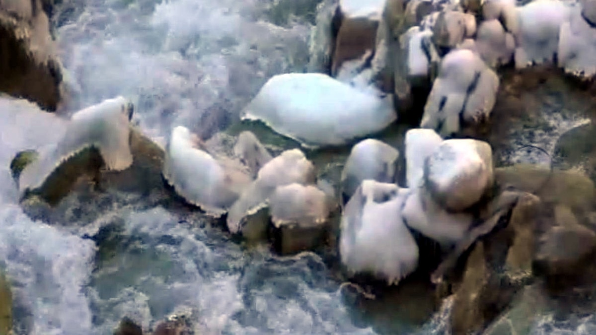 बहता पानी जमकर बना बर्फ, चमोली में हाड़ कंपाने वाली सर्दी ने दी दस्तक.