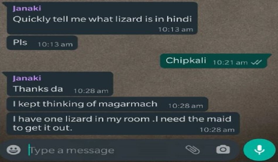 छिपकली को मगरमच्छ समझकर परेशान थी महिला