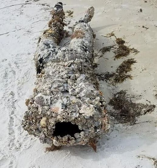 बीच पर 'लाश' देखकर बुरी तरह डरी महिला