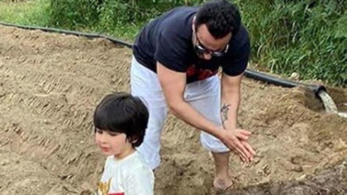 सैफ संग खेती करते तैमूर