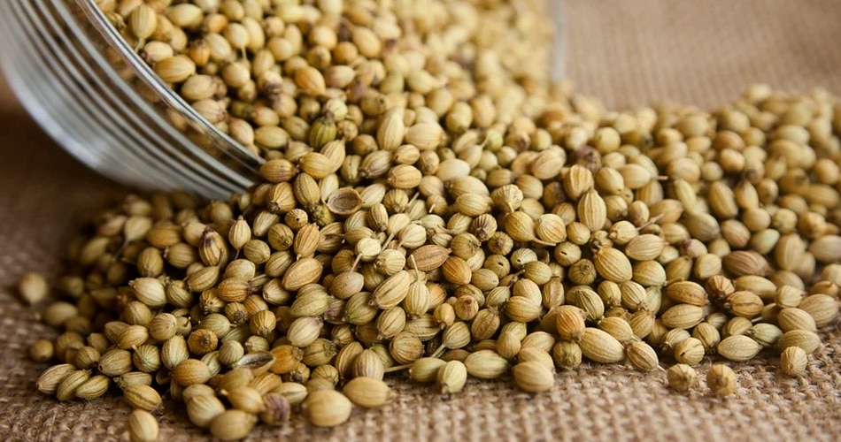 धनिया खरीदना शुभ