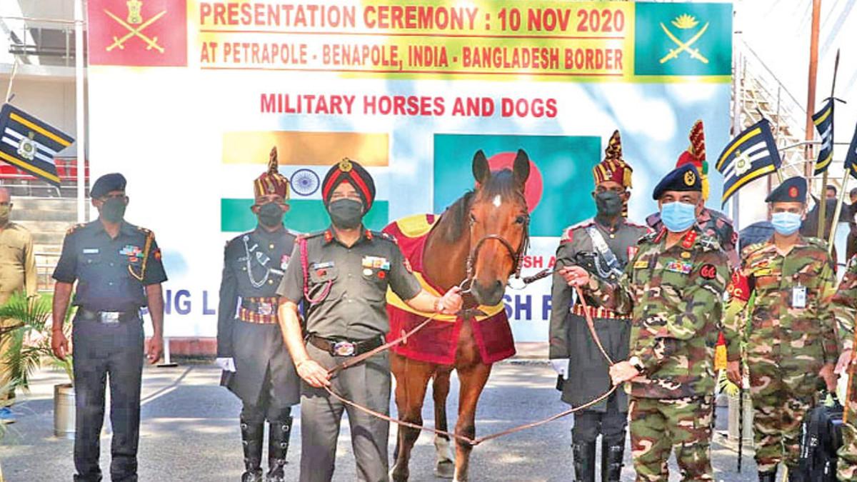 भारतीय सेना ने 20 सैन्य घोड़े और बारूदी सुरंग का पता लगाने वाले 10 कुत्ते बांग्लादेश सेना को दिए.