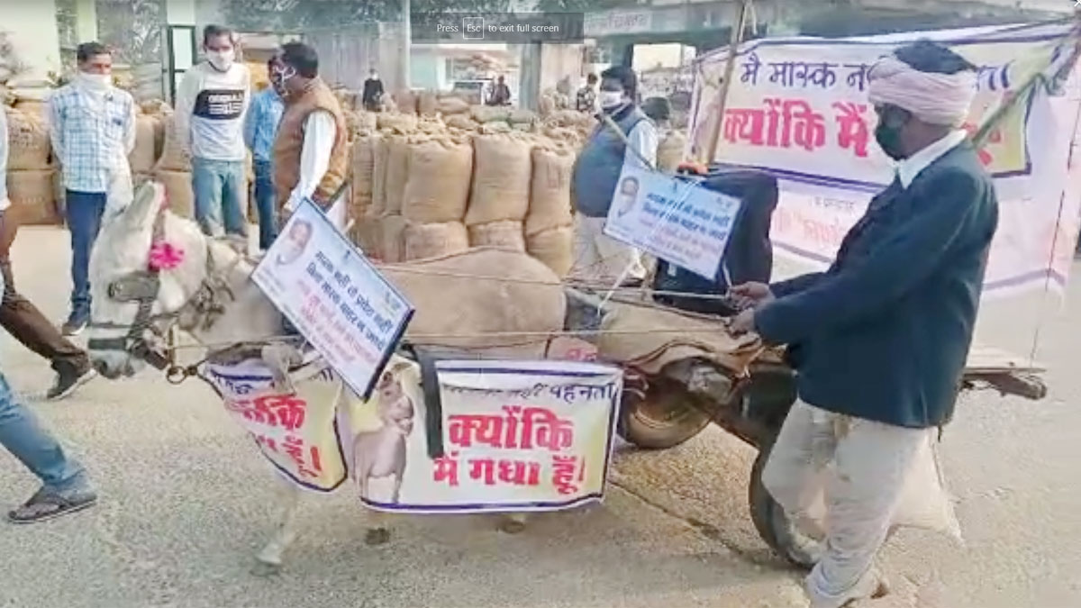 गधे का निकाला जुलूस (फोटो आजतक)