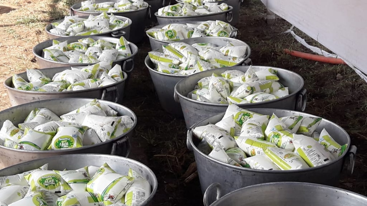 एग्जिल पोल के रुझान से महागठबंधन खेमे में खुशी.