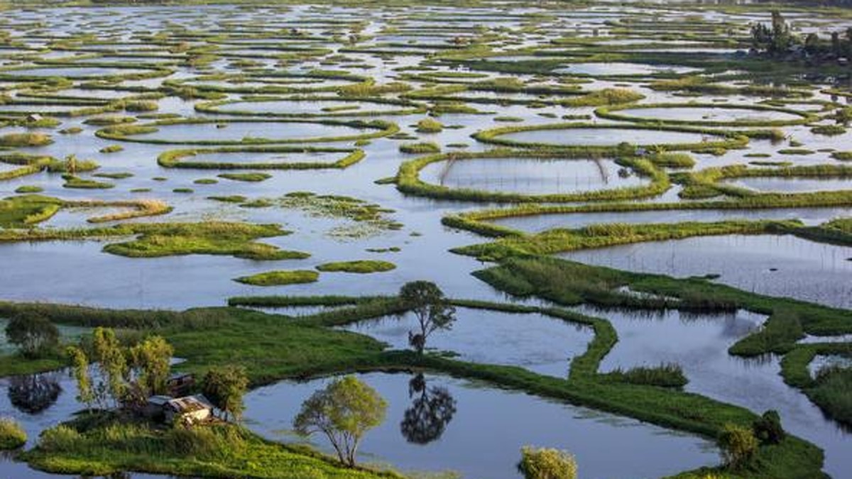 किसी अजूबे से कम नहीं लोकटक झील.
