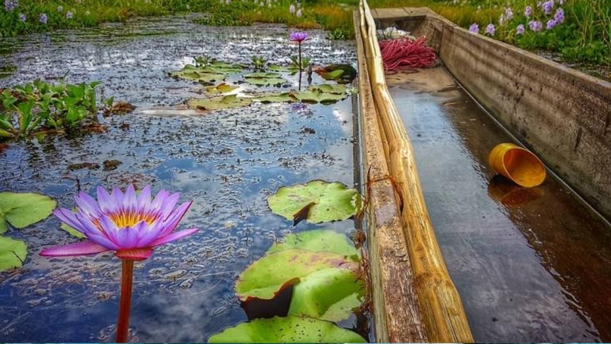 तैरते हुए द्वीपों पर रहते हैं मछुआरे.