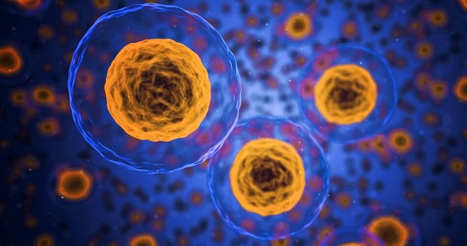 किन लोगों को है ज्यादा खतरा