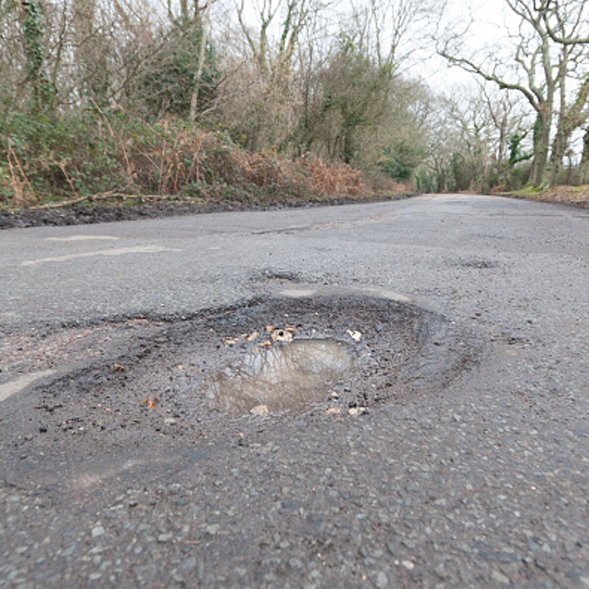 प्रतीकात्मक तस्वीर