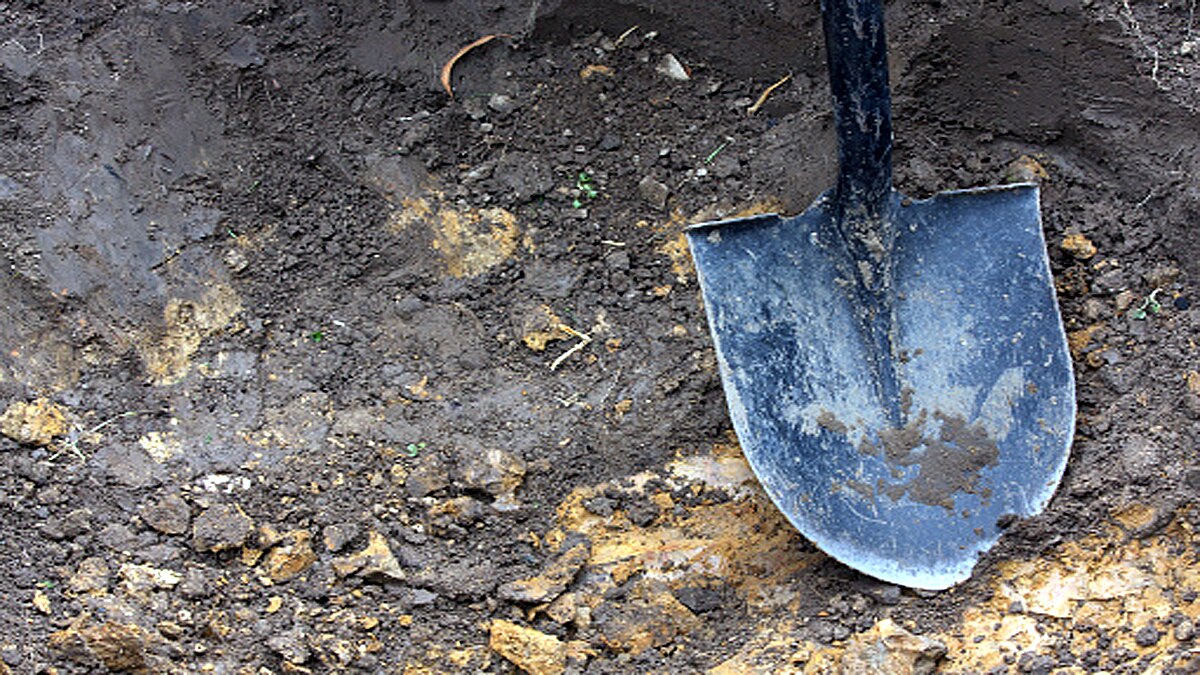 Hair stolen from corpse of women Hair stolen from corpse of women