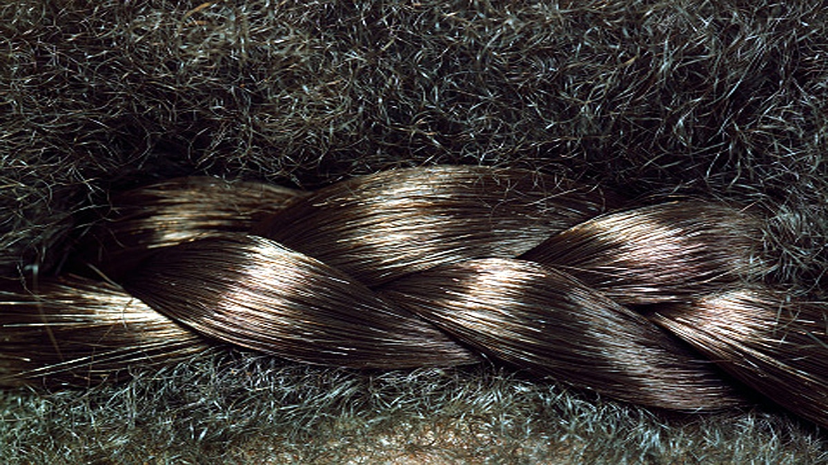 Hair stolen from corpse of women Hair stolen from corpse of women