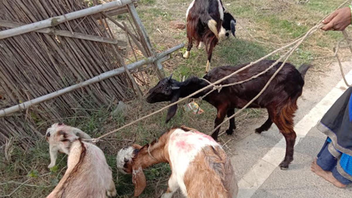 Representative image 