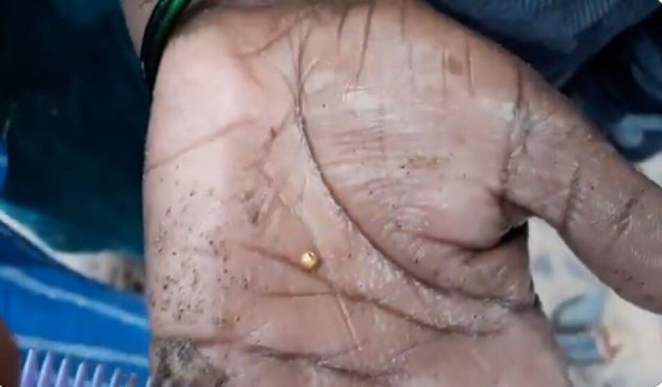  निवार तूफान से मछुआरों के आए 'अच्छे दिन