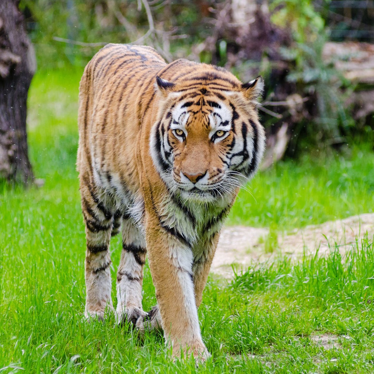 प्रतीकात्मक तस्वीर