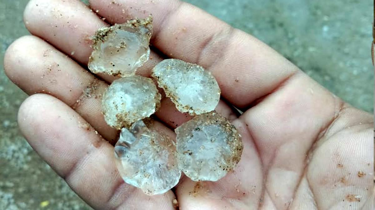 जयपुर में बार‍िश के साथ ओले ग‍िरे.