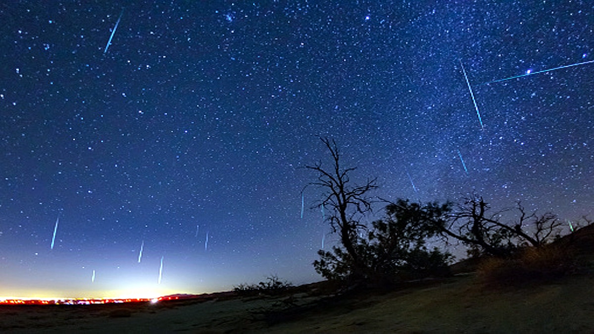Comet Temple Tuttle Leonid meteor shower