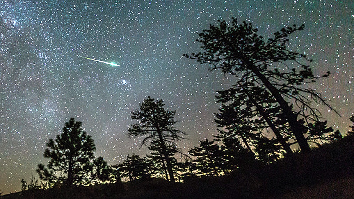 Comet Temple Tuttle Leonid meteor shower