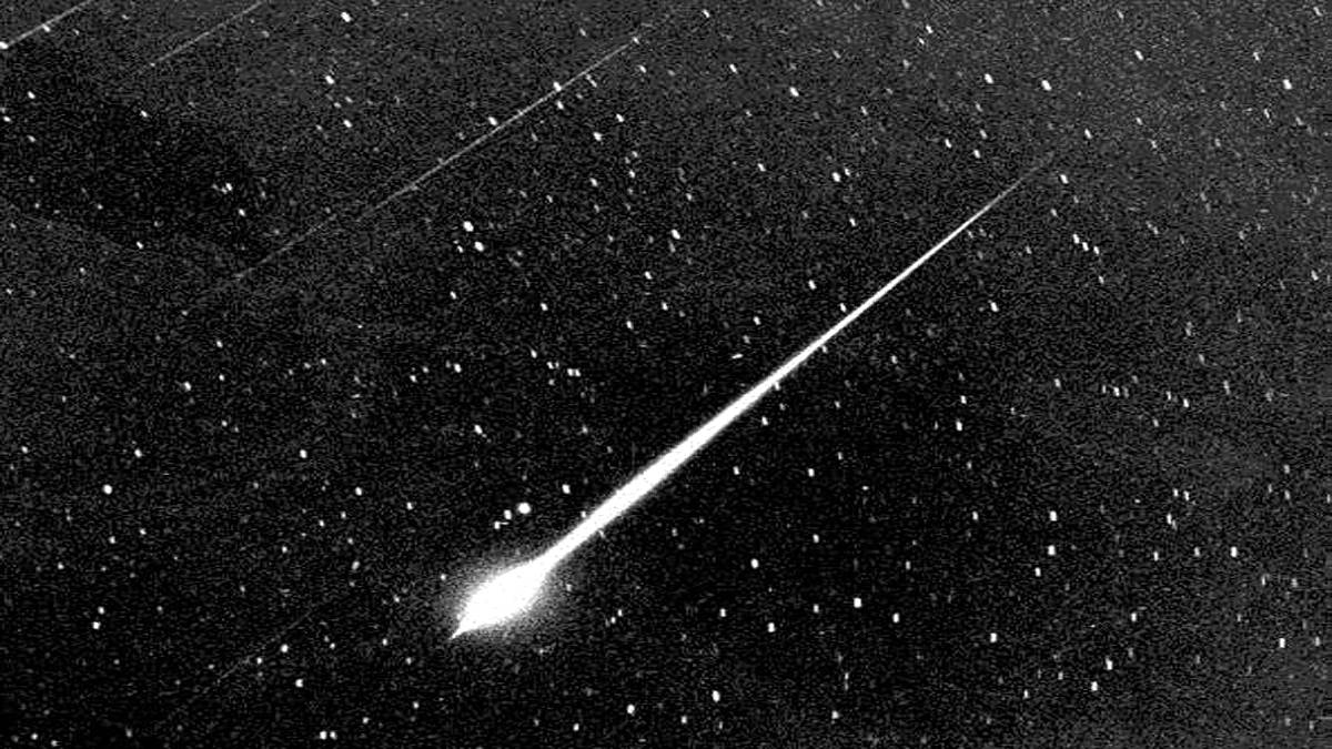 Comet Temple Tuttle Leonid meteor shower