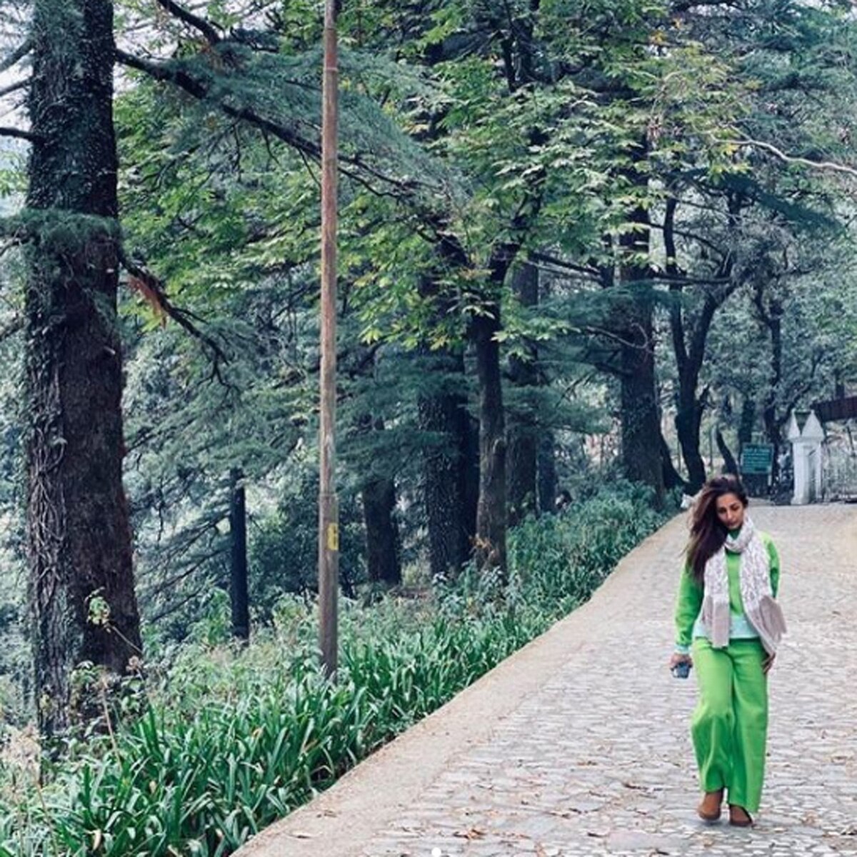 मलाइका अरोड़ा 