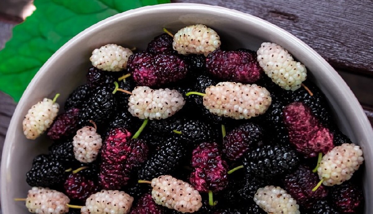 सेल्स को एनेर्जी