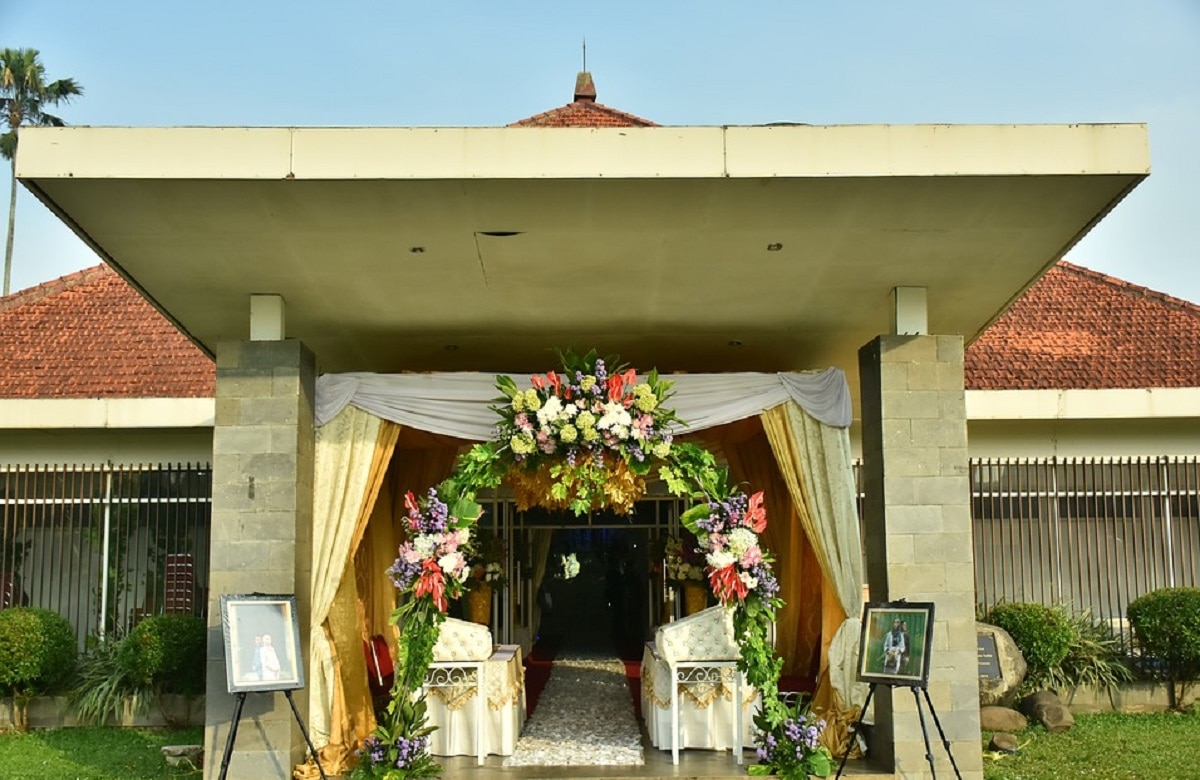 पैक्ड फूड बॉक्स भी विकल्प