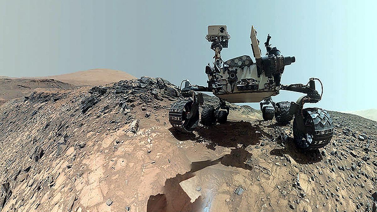 Four Earth organisms Can live on Mars