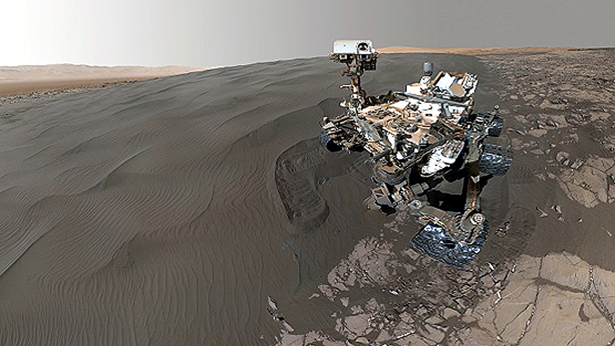 Four Earth organisms Can live on Mars