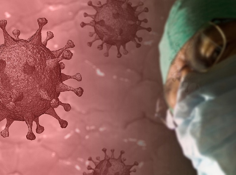 सॉलिडैरिटी ट्रायल