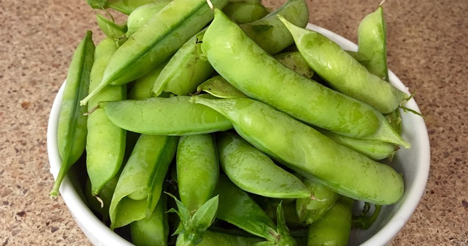 पाचन के लिए अच्छा