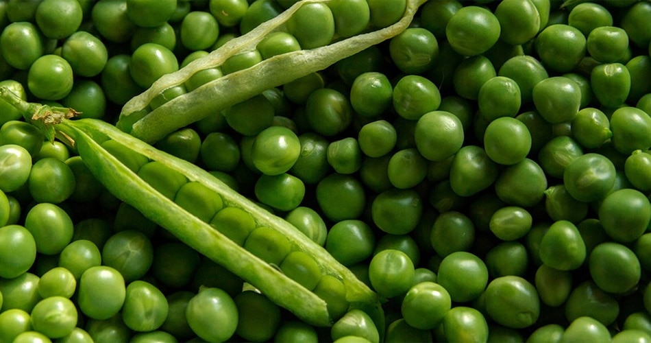 हड्डियों के लिए जरूरी