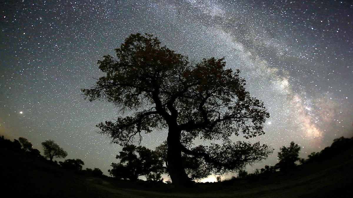 Our Milky Way is slowly breaking apart 