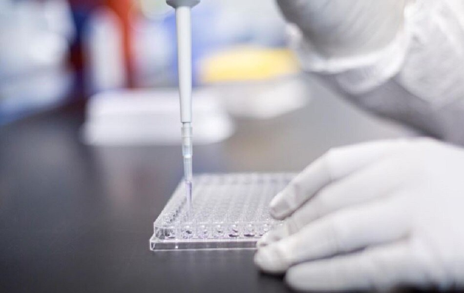 moderna coronavirus vaccine