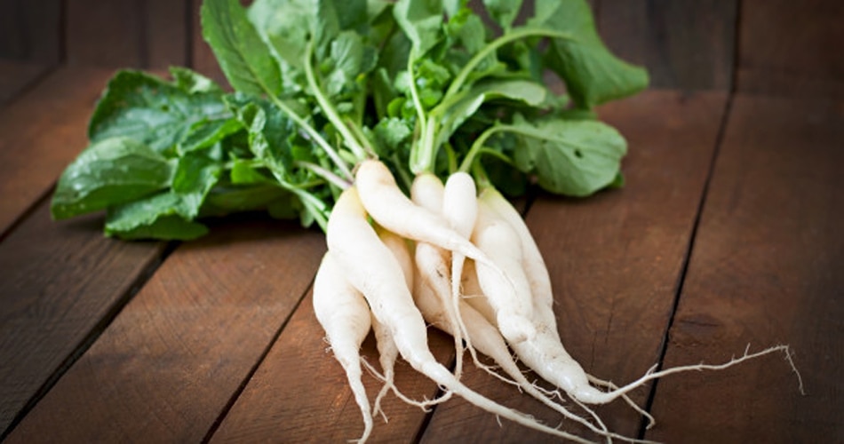 ब्रश या स्पंज का उपयोग करें