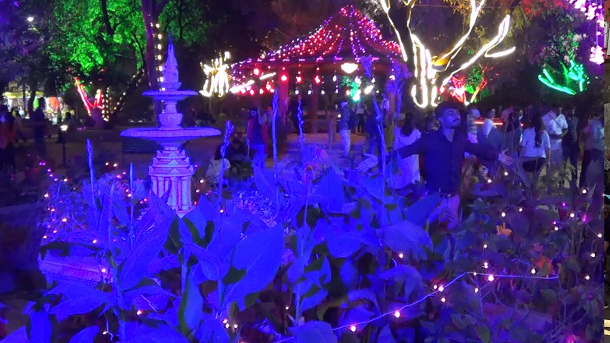 गुजरात में लाभ पंचमी तक बिजनेस बंद तो माउंट आबू को मिली संजीवनी, टूरिज्‍म में बूम.