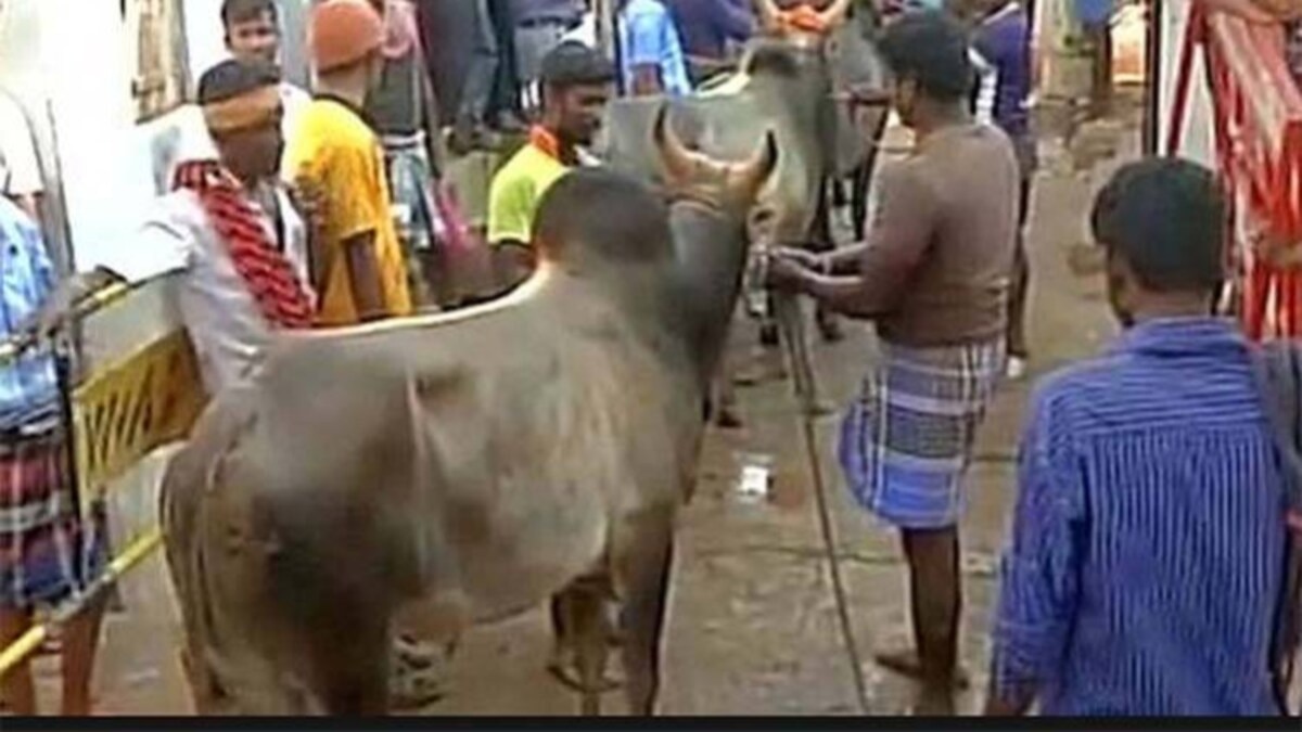 पाली जिले के कानूजा गांव की अनोखी परंपरा.