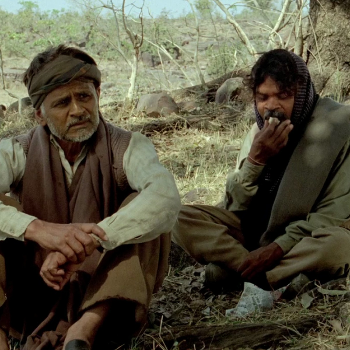 पीपली लाइव 