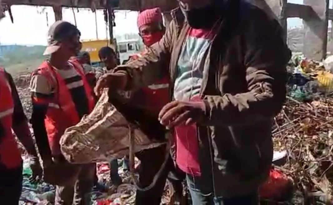 गहनों वाला पर्स कचरा वैन में डाला