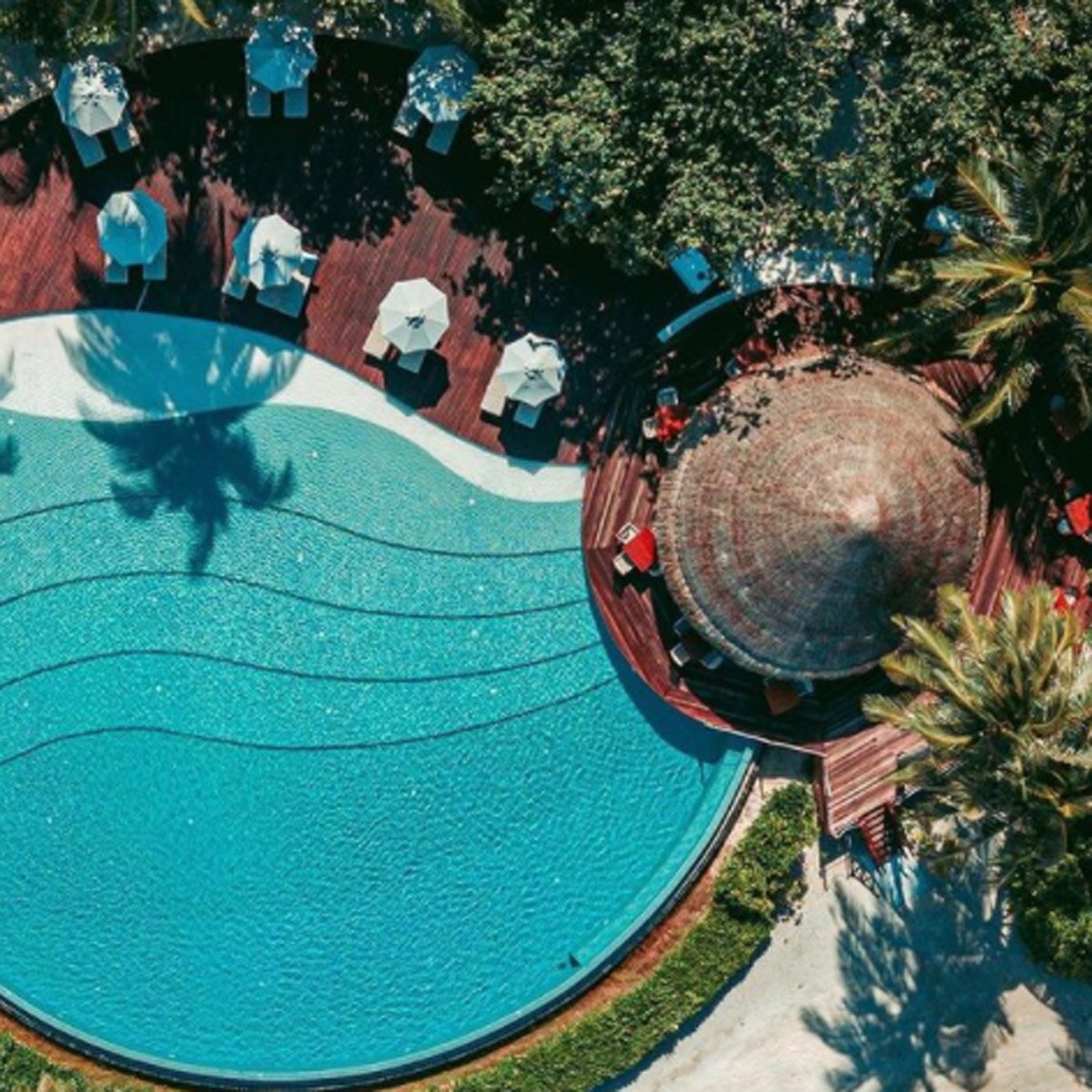 रकुलप्रीत सिंह रिजॉर्ट