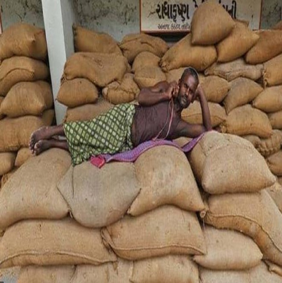 धान की खेती को नुकसान