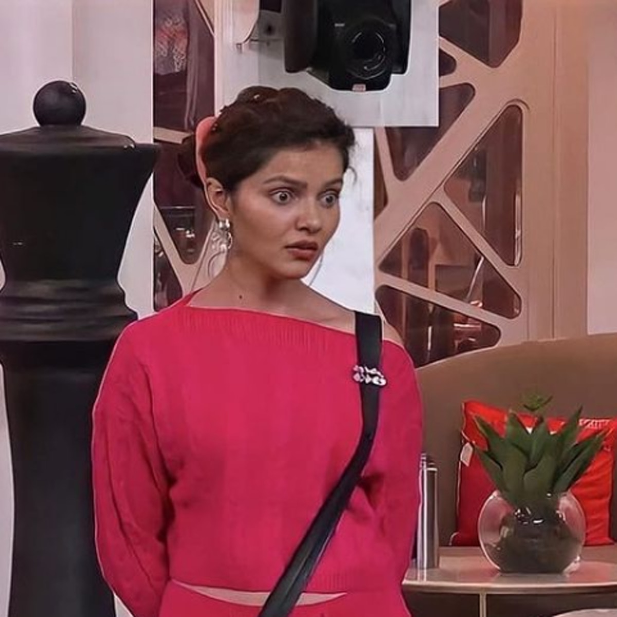 रुबीना द‍िलैक 