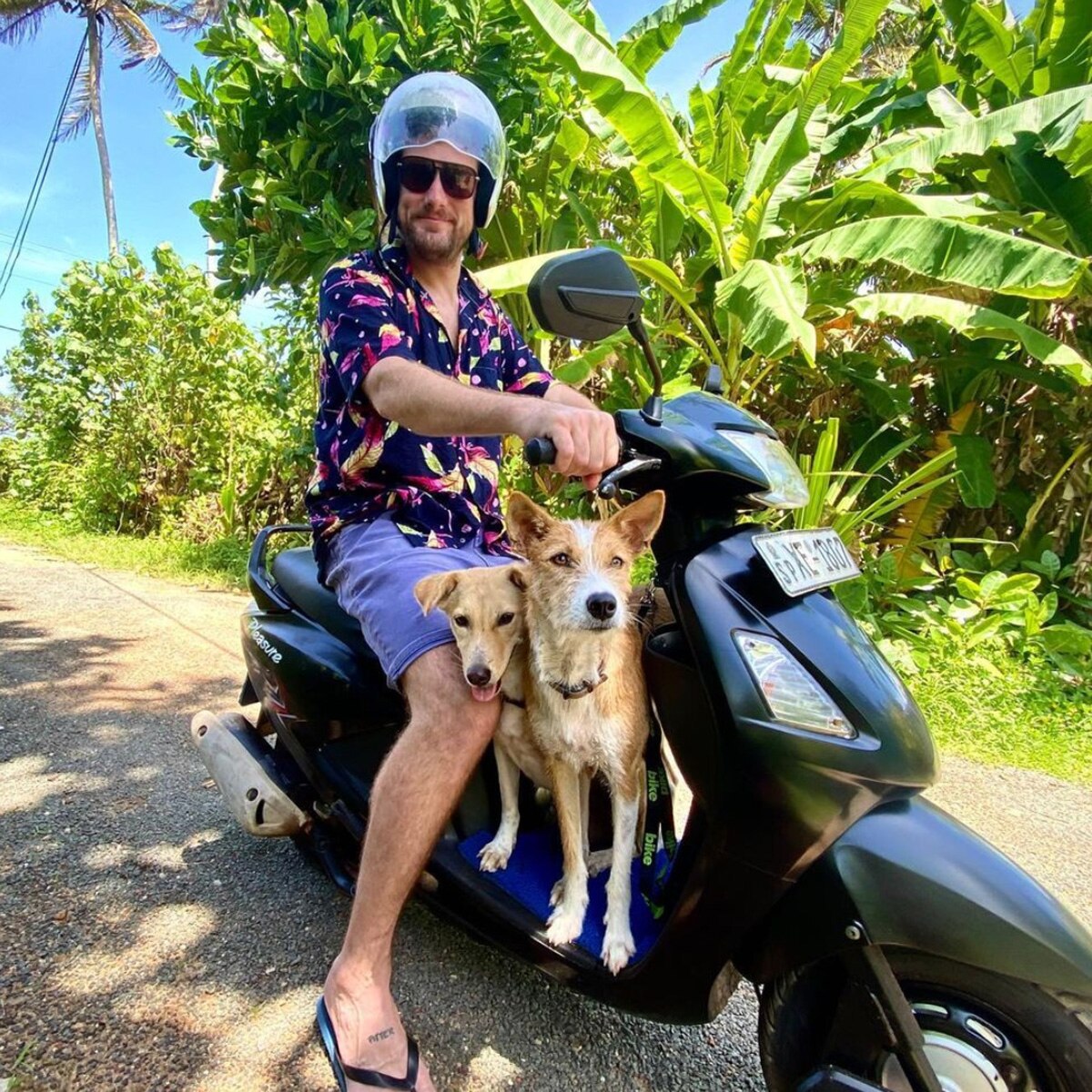 फोटो क्रेडिट- Rob Lewis_elitebandwagon