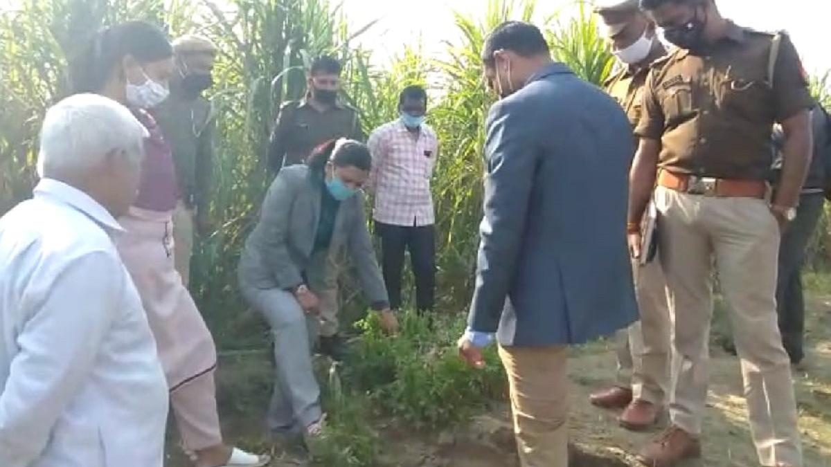 'खेत से निकले सोने-चांदी के सिक्के'